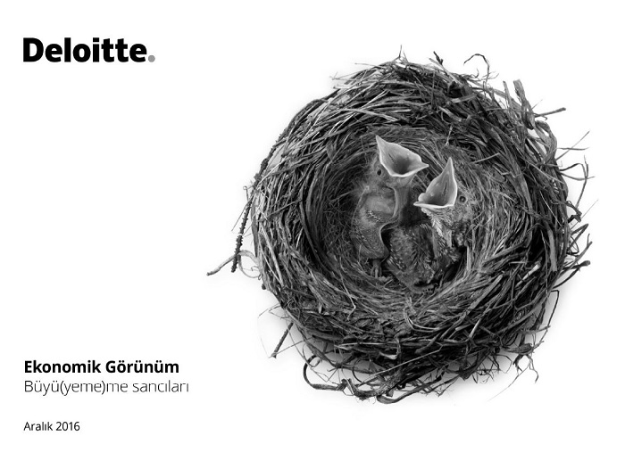 deloitte1