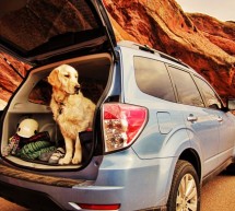 Subaru’dan köpek dostlarımıza özel seyahat kiti