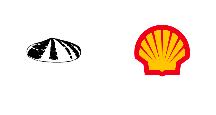Shell-1900