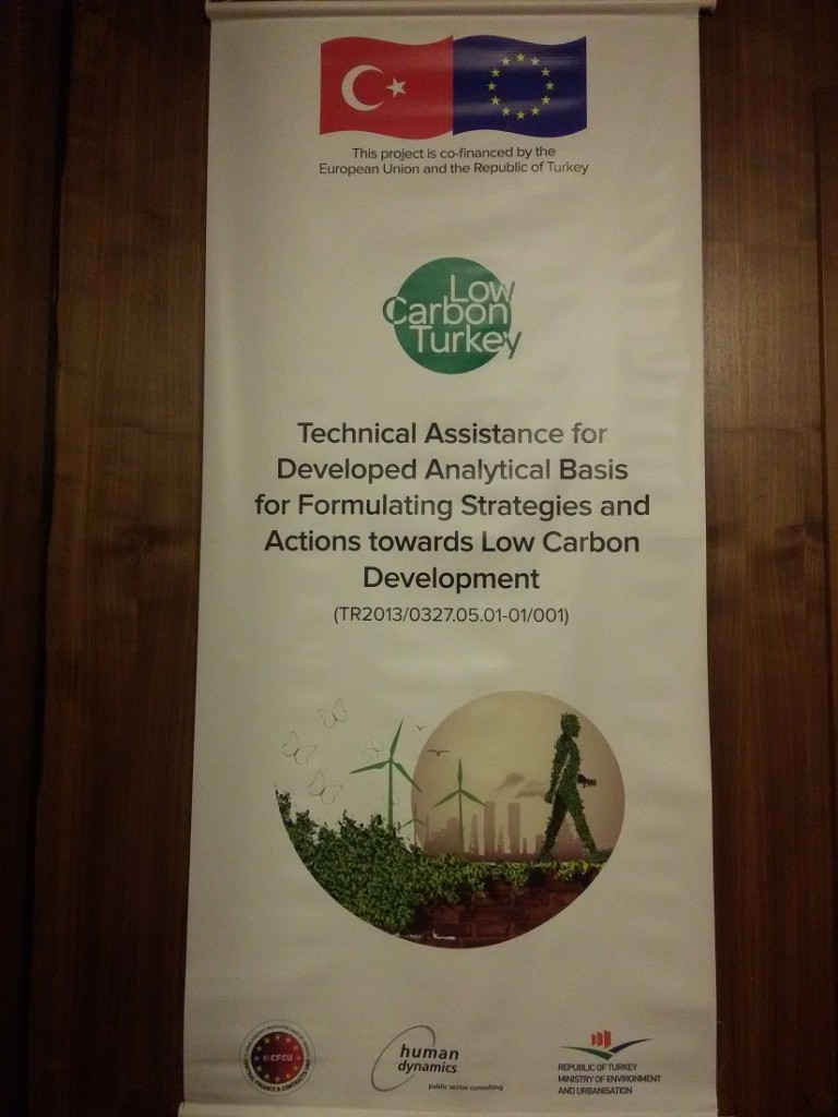 REC TR - DEA ÇALIŞMASI - LOW CARBON