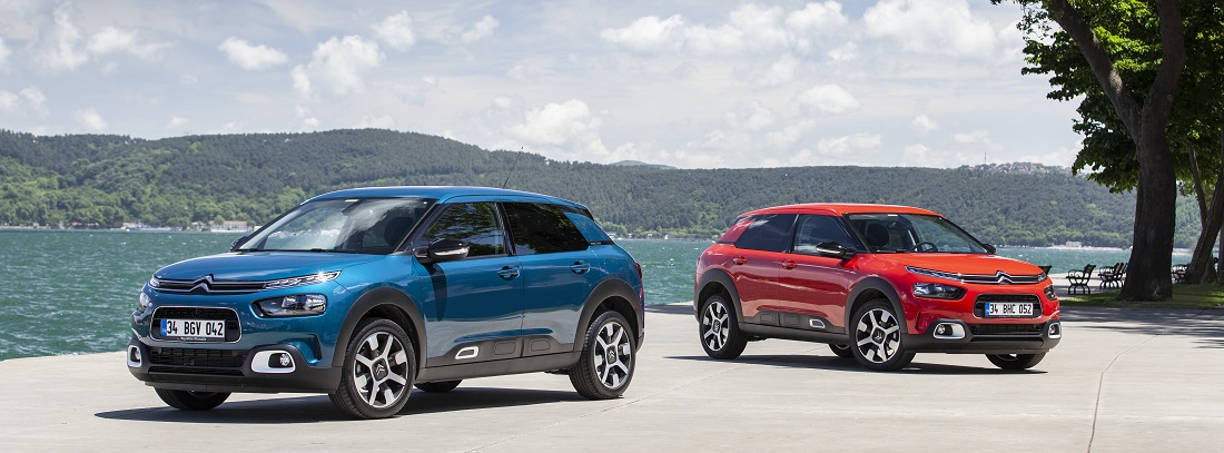 WEB Citro__n_Yeni_C4_Cactus_10